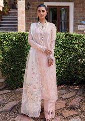 Lawn - Qalamkar - Qline - Summer 25 - QM#12 - MISO