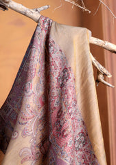 Pashmina Zari Jamawar Shawl D#107 - Multi