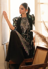 Lawn - Humdum - Senora - HSL25#02