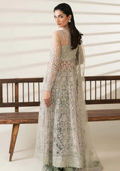 Formal Collection - Enzo - Etoile Filante - AMARI