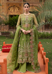 Formals - Akbar Aslam - Sultaniya - Luxury 25 - D#1597 - Ambenrin