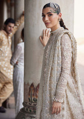 Formal Collection - Afrozeh - Dastangoi - Wedding - Noori - D#02