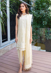 Lawn Collection - Aik Atelier - V02 - D#3A