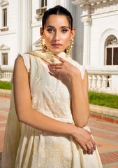 Pret Collection - ARY - Fai Zaan-e-Nazar - RFZ24#05