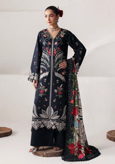 Winter - Naqsh - Seraphine Edit 26 - D#00268 - Black Bean