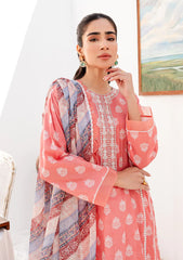 Lawn Colleection - Tabeer - Printkari - TP24#9B - Luna