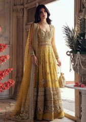 Formals - Zaha - Gossamer - Unstitched Wedding - Festive 25 - ZC#02 - SURAJ MUKHI