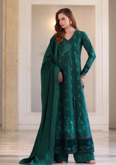 Winter - Noor by Saadia Asad - Pashmina Shawl 25 - NSP#02 - Emerald Reverie