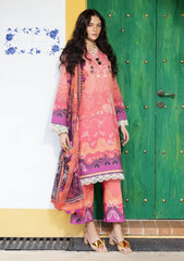 Winter - Mushq - Hemline Mirasol - Intermix 25 - HML#03B - Amber Luz