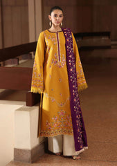 Winter - Rajbari - Winter Shawl - Exclusive 25 - D#03