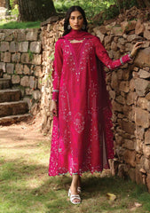 Winter Collection - Qalamkar - Qlinekari - Linen 24 - QLK24#13 - Tara