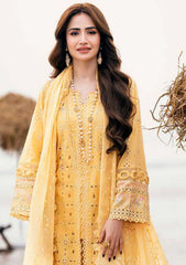 Lawn - Nureh - Khuwab - NE25#144