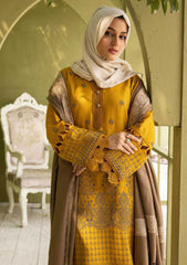 Winter Collection - Riaz Arts - DastKari - D#06