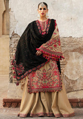 Winter Collection - Hussain Rehar - Karandi AW - D#06 - Sahara