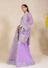 Wedding Collection - Muneefa Naz - Raha - Melisa- D# 07