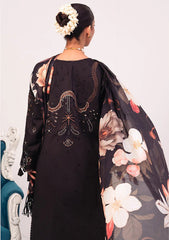 Winter Collection - Marjjan - Afsanah - D#06-A