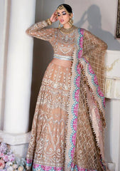 Formal Collection - Rubaaiyat - Handwork Wedding 23 - Freesia - D#06