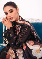 Winter Collection - Marjjan - Afsanah - D#06-A