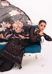 Winter Collection - Marjjan - Afsanah - D#06-A