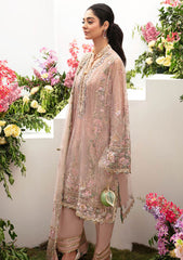 Formal Collection - Zaha - Gossamer - Autumn - ZC23#02