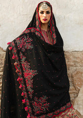 Winter Collection - Hussain Rehar - Karandi AW - D#06 - Sahara