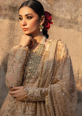 Formal Collection - Rang Rasiya - Shehnaiyan - Wedding - D#7 - Zulaykha