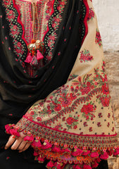 Winter Collection - Hussain Rehar - Karandi AW - D#06 - Sahara