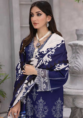 Winter Collection - Rang Rasiya - Florence - Linen shawl - DN#06