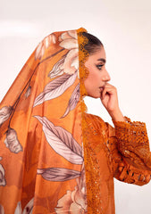 Winter Collection - Marjjan - Afsanah - D#06-B