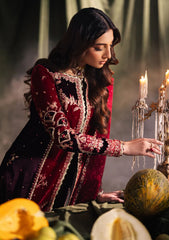 Winter Collection - Qalamkar - Velvet Edit - QV24#04 - KESIA