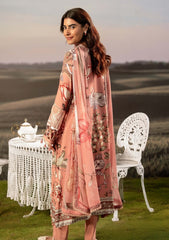 Winter - M.Basics - Unstitched Casual - Pre/Fall 25 - MBPF#04 B