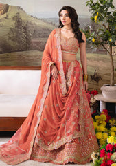 Formals - Neeshay - Dastaan - Luxury Chiffon 25 - Zebunnisa