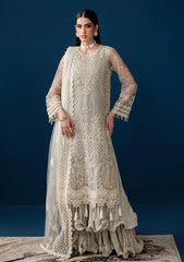 Formals - Alizeh - Handmade Net - Festive 25 - AF-NHM#4056 - Velor