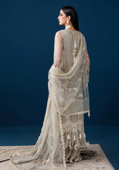 Formals - Alizeh - Handmade Net - Festive 25 - AF-NHM#4056 - Velor