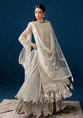 Formals - Alizeh - Handmade Net - Festive 25 - AF-NHM#4056 - Velor