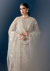 Formals - Alizeh - Handmade Net - Festive 25 - AF-NHM#4056 - Velor