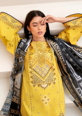 Lawn - Bin Ilyas - Aaina - BIA25# 86 - B