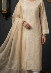 Formals - Riwaj - Fancy 26 - Ari & Mukesh Work - 2 Pcs - D#01 - Skin 2