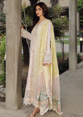 Lawn Collection - Qalamkar - Festive Lawn 24 - PS#03 - IRSA
