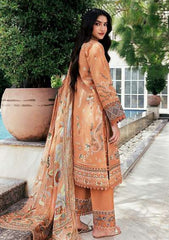 Winter - Florent - Zync 25 - FL#01-A