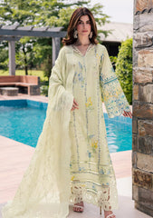 Lawn - Nureh - Lily May - Eid Prints 26 - NE#259
