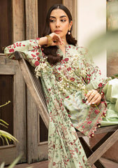Lawn - M.basics - Eid II - Unstitched 25 - 12B