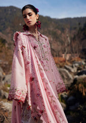 Lawn - Zaha - Meili Festive 26 - ZL#06B - BÌ YÙN