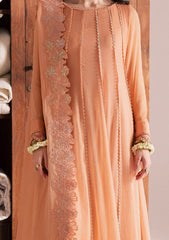 Pret - Vanya - Kavira - Chiffon 25 - KR#07