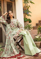Lawn - M.basics - Eid II - Unstitched 25 - 12B