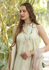 Lawn - Noor by Saadia Asad - Eid Luxe - Printedkari 25 - D#5-B