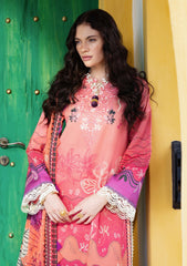 Winter - Mushq - Hemline Mirasol - Intermix 25 - HML#03B - Amber Luz