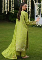 Winter - Rang Rasiya - Luxe Silk 25 - RRLS#08 - Radin