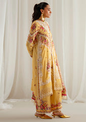 Winter - Bin Ilyas - Eres Bonita Viscose 25 - D#1101-B