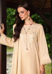 Winter - Riaz Arts - Tehzeeb 25 - Leather Peach - TL#450